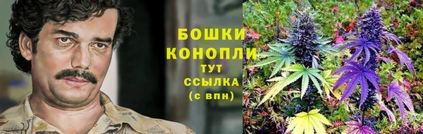 ECSTASY Баксан