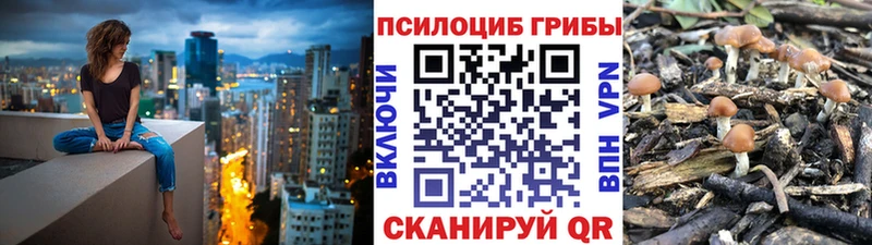 Псилоцибиновые грибы прущие грибы  купить  цена  гидра зеркало  Сковородино 